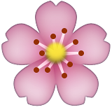 cherry-blossom_1f338